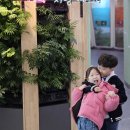 거창 우리집 | 경남 실내 아이와 가볼만한곳 거창 사과테마파크 체험 후기