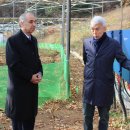 분당태양광발전소 이미지