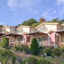 포포애견펜션 이미지