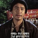 스테이.보성