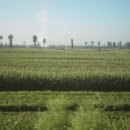 풍물기행 이미지