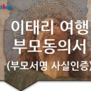 솔루션(SOLUTION) 번역행정사  이미지