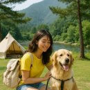 디스커버리 남원점 | 🐶 댕댕이랑 떠나는 2025 여름 반려견 동반 여행지 BEST 6