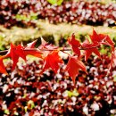 한마당학원 이미지