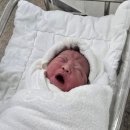 이쁜여성의원 | 청주 엠에스여성의원 ㅣ구관 특실 입원실 후기