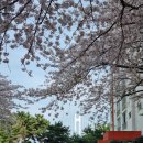 나즈막한부엌 남천점 | 쫀득하고 부드러운 족발맞집 남천동 나즈막한부엌 솔직 후기