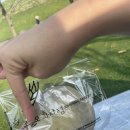 멍멍이 과자점 이미지