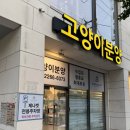 고양이분양 제나캣 화명점 | 부산 고양이 분양 제나켓 사상점(2026년4월25일 아깽이 우유 데리고 온 날)