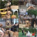 도도1농장 파이낸셜뉴스