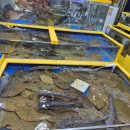 성현유통 이미지