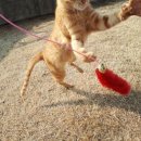 영대병원네거리 이미지