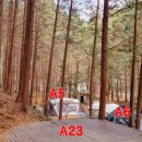 치유의 숲 야영장 이미지