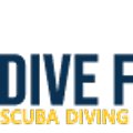 다이브포유(DIVEFORU) 네이버블로그