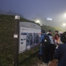 의신면 돈지시장 네이버블로그