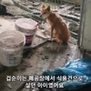 순미농장 네이버블로그