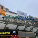 민가 | 속초중앙시장 먹거리 포장 선물 추천 두바이모찌 / 두쫀쿠 / 딸기모찌 맛집 속초 채민가 솔직 후기