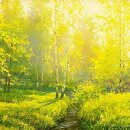 유유자적 이미지