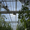 홍천군농업기술센터 | [기초영농기술교육] 강원도 홍천 1박 2일