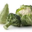 대신푸드 이미지