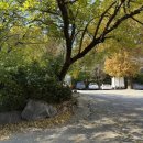 용산-375 이미지