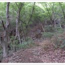 외송중앙길 이미지