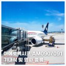 091 | 아에로멕시코 AM090, AM091 기내식, 영화 종류 및 후기