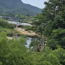 산청밀면