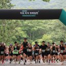 전남 순천 '치유미식 트레일런’ 성황리 개최 … 자연과 미식이 어우러진 치유의 시간 이미지
