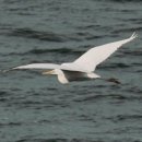 나무고아원A 이미지