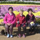 함께하는 한글교실 이미지