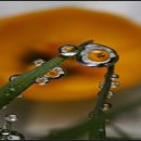 음식천국 이미지