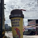 뉴금강호텔 | 충남 삽교호 아이랑 가 볼 만한 앵무세상 카페 내돈내산 솔직후기