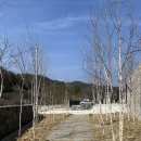 원주 지오컨벤션 / 인터불고 / 베로나지디 웨딩홀 투어, 솔직후기