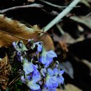 우강초교 이미지