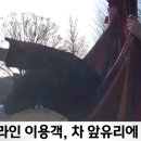 충남차유리