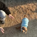 달님네민박 | 거제 이수도 1박 3식 학교민박 후기