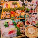 영스포츠타운 | [안산 횟집 추천]신선함이 남다른 회포차 김도주 찐단골의 후기
