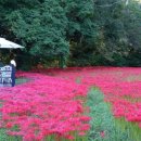 세레노펜션 이미지