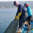 부강수산 이미지