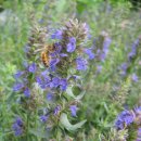 홀리허브 이미지