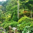 경천횟집