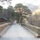 03/19(수)경남 양산 천성산 산행안내 이미지