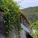 중앙동199 이미지