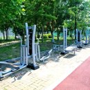 광남생활체육공원 축구장 이미지