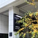 나를 위한 힐링 도자기 만들기 | 서울도자기공방 팟츠포터리스튜디오 물레체험 후기 그릇 만들기