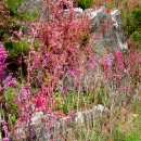 호수공원 APT 이미지