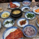 우리네코다리 이미지