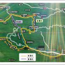 상관 공기마을 편백숲 이미지