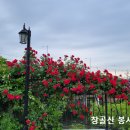 채색옷 이미지