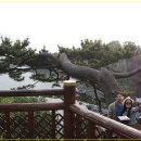 천지연호텔 이미지